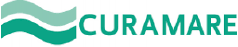 SDB Groep | Klant | Logo | Zorg | Software | Curamare