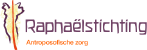 SDB Groep | Klant | Logo | Zorg | Software | Raphaelstichting